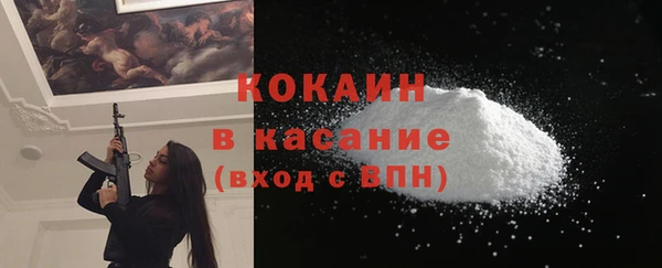 СК Снежногорск