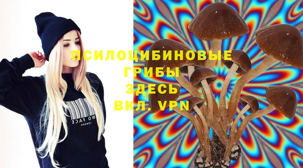 хмурый Краснослободск